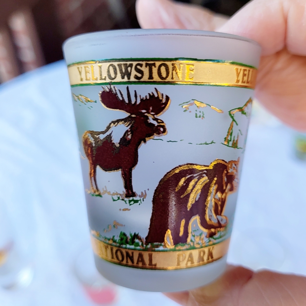 Assorted Shot Glass Set - Picture 9 of 16